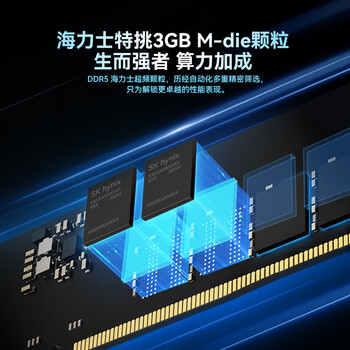 佰维（BIWIN）48G(24G×2)套装 DDR5 6000频率台式机内存条 时空行者DW100 RGB灯条(C28)黑色AI PC电脑存储配件
