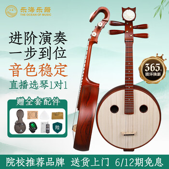 乐海中阮价格报价行情- 京东