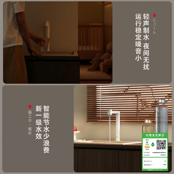 东芝（TOSHIBA）大白梨净水器  0阻垢剂 双管UV杀菌 家用厨下式1000G  母婴认证 6年RO反渗透直饮TSC1000