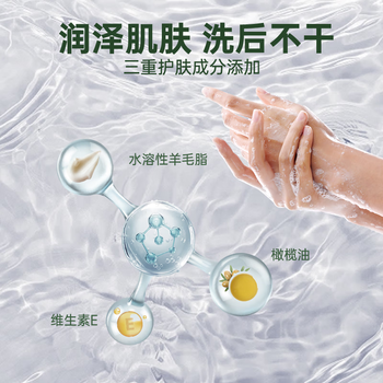 洁芙柔环保洗手液泡沫抑菌杀菌消毒补充装200mL*2配星尘曜石黑陶瓷瓶