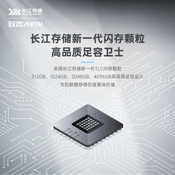 致态（ZhiTai）长江存储 1TB SSD固态硬盘 NVMe M.2接口 TiPlus7100系列 《黑神话:悟空》官方合作品牌