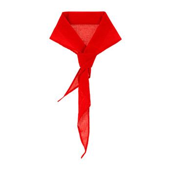 齐心（COMIX）大号涤纶柔软红领巾 小学生一年级少先队员红领巾 1.2m单条装 B1049