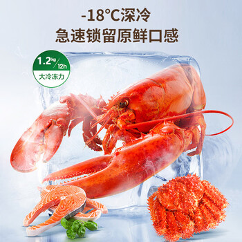 奥克斯双门冰箱183升两门宿舍小户型家用冷藏冷冻小冰箱 节能保鲜低噪BCD-183A259D 