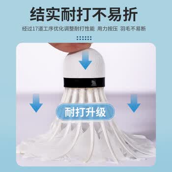 启傲令箭羽毛球室内外训练耐打羽球12只装 启傲令箭羽毛球室内外训练耐打羽球12只装