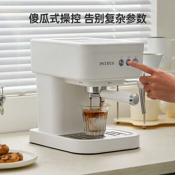 柏翠（petrus）意式半自动咖啡机 智能自动萃取 智能控温  蒸汽打奶泡 小型办公室家用 PE2170 海盐白
