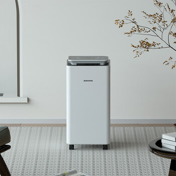 奥克斯（AUX）除湿机/抽湿机 卧室厨卫除湿器 除湿量10升/天 负离子除菌轻音吸湿器KDY10-01W
