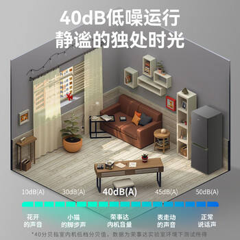 荣事达（Royalstar）166升小冰箱小型家用出租房办公室宿舍双开门两门双门二门电冰箱节能省电低音钛深灰色R166