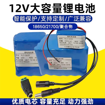 正鑫远 锂电池组大容量户外移动电源三元动力带保护板 12V2.2AH(18650)+1A充电器 正鑫远 锂电池组大容量户外移动电源三元动力带保护板 12V2.2AH(18650)+1A充电器