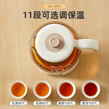 小熊（Bear）煮茶器养生壶烹煮一体茶壶迷你蒸茶器 316L喷淋式不锈钢烧水壶黑茶茶具1升ZCQ-F10N7