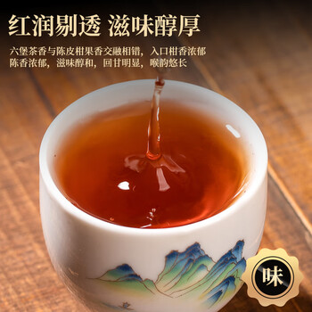 三隐茶叶 陈皮六堡茶黑茶广西梧州陈年窖藏熟茶小茶饼袋装500g