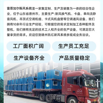 雷恩加尔 全热新风机双向流中央新风系统商用全屋净化过滤全热交换器 工装全热镀锌板双向800风量+多重过滤