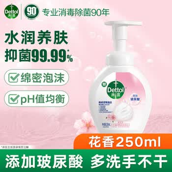 滴露泡沫洗手液花香型250ml*2瓶 儿童宝宝成人通用家庭抑菌洗手液