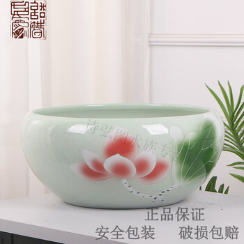 金鱼缸荷花品牌及商品- 京东
