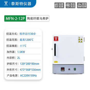 TAISITE泰斯特马弗炉电阻炉高温炉实验室设备 MFN-2-12P 