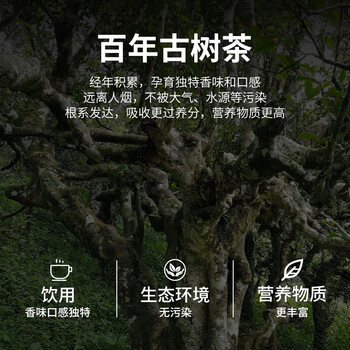 勐伦仓【冰岛七年陈】普洱茶生茶百年古树龙珠茶叶礼盒56g