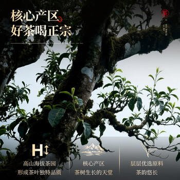 七春普洱熟茶400g小罐装茶叶礼盒云南特产碎银子勐海毕业礼物送老师