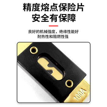 巴也 叉车叉栓式汽车保险丝片200A 2片装 BY-CS200A