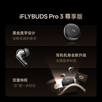 科大讯飞AI会议降噪无线蓝牙耳机Pro 3 黑金【尊享版】录音翻译智能入耳式 适配苹果华为小米