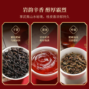 七春茶叶礼盒武夷山肉桂500g花香正岩茶礼盒装 节日送老丈人长辈礼品