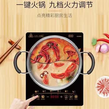 九阳ZMD安心系列电磁炉 家用多功能大火力火锅炒菜炉电磁灶 2100W大功率 C21-J66单机版
