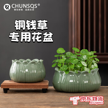 冰裂纹花盆瓷器型号规格- 京东
