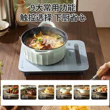 苏泊尔（SUPOR）电磁炉家用2200W大功率大面板大线圈防辐降噪预约定时 C22-IA08  2200W猛火 