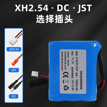 正鑫远 大容量智能小车充电锂电池组LED灯带小风扇酒吧灯 6节12V3600mAh带2A充电器