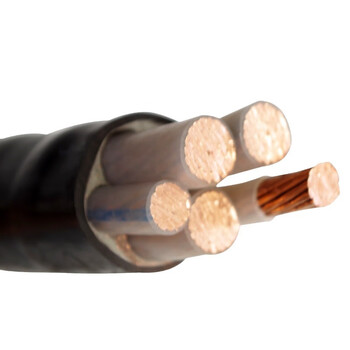 浤议电线软线铜芯工程家用户外阻燃电缆线RVVZ/VVR (4+1)*4（1米装）