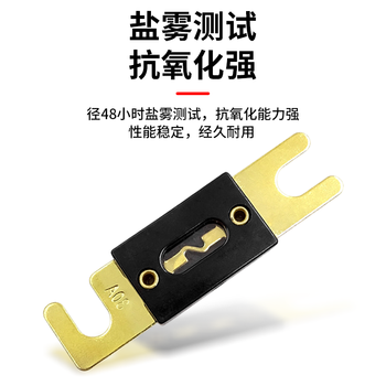 巴也 叉车叉栓式汽车保险丝片200A 2片装 BY-CS200A