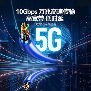 山泽超六类双屏蔽网线【0.57±0.008mm纯铜线芯】CAT6A万兆抗干扰 工程家装网络POE监控 50米 LC6050