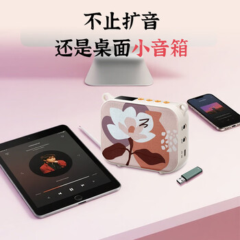 得胜（TAKSTAR）E30W 无线小蜜蜂扩音器教师专用导游喇叭腰挂便携式国风蓝牙小音箱喊话器无线讲课麦克风 柔月白