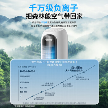 格力（GREE）【冷暖两用】家用取暖器净化加湿冷风扇暖风机节能遥控电暖器2000W大功率制热电暖气 KS-04X71RDg