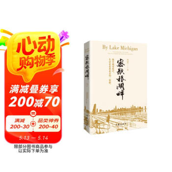 密歇根湖畔（一部书写旅美华人奋斗拼搏的励志小说） 小说
