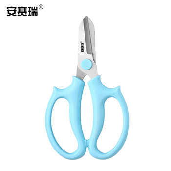 安赛瑞 不锈钢鲜花修剪刀 家用绿植盆栽修枝园艺工具 蓝色 5J00478 JC