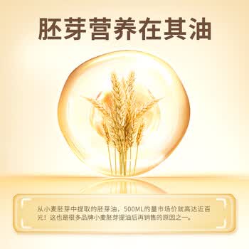 丙田 正宗金黄小麦胚芽1360g 富硒高锌无加蔗糖 原味即食燕麦片胚芽粉