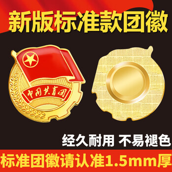 易利丰（elifo）2025最新版标准款1.5mm加厚正版2cm中国共青团团徽磁吸团员徽章别针款双面强磁大磁铁扣学生用胸章