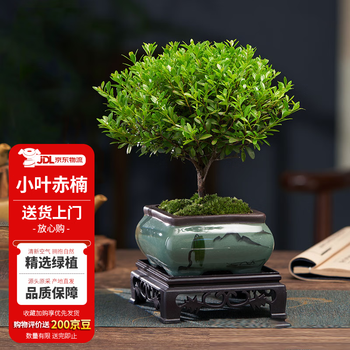 時代 象嵌 小型 紫檀 花台 香台 盆栽台 時代 象嵌 小型 紫檀 花台 香台 盆栽台