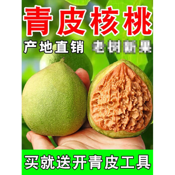 文玩闷尖狮子头价格报价行情- 京东