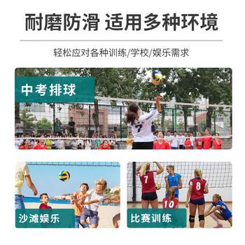 mikasa米卡萨 【中考训练】比赛训练专用标准初中生成人5号排球   V360W