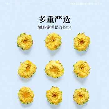 艺福堂 菊博士胎菊 花草茶 菊花下火 清热养生干80g/罐