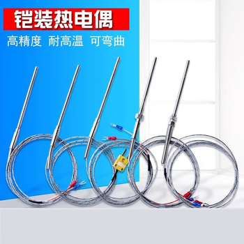 正鑫远 K型铠装热电偶探头高温J/T探针电热偶PT100热电阻E温度传感器 探头为321管材A级测温丝