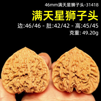 大粗筋狮子头 43尺 高端老树文玩核桃大粗筋霸王龙狮子头43尺寸精卡