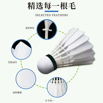 薰风（KUMPOO）挑战8羽毛球 耐打飞行稳定熏风专业训练比赛用球12只装