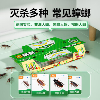 绿叶蟑螂屋家用杀蟑杀蛮蠊杀蟑粘板5片装 2119-5