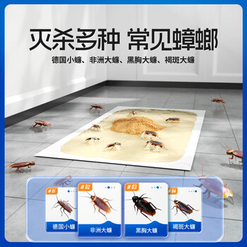 绿叶蟑螂粘板蟑螂药杀蛮蠊室内蟑螂粘纸20片除蟑螂屋2118A 绿叶蟑螂粘板蟑螂药杀蛮蠊室内蟑螂粘纸20片除蟑螂屋2118A