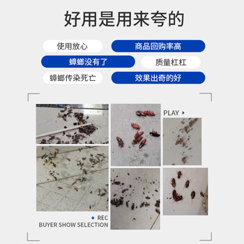 绿叶蟑螂药杀蟑胶饵杀蛮蠊方便贴8枚装灭蟑杀虫剂7106