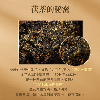 盛安长泾阳茯茶传承1368黑茶金花茯砖茶叶陕西特产  2021年糯香味200g