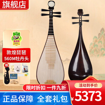 【希少 高級】中国琵琶 ピパ 牡丹牌 上海民族楽器一廠製 41sCj8c9tqL._UF894,1000_QL80_.jpg