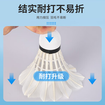 启傲(QIAO)鹅毛羽毛球训练级耐打鹅毛羽球AS15ew 12只装/筒 启傲(QIAO)鹅毛羽毛球训练级耐打鹅毛羽球AS15ew 12只装/筒