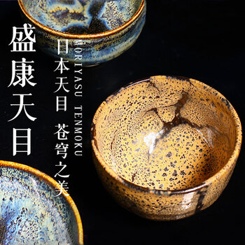 時代の彩】中国古美術『宋建窯玉蘭花図紋建盞』建